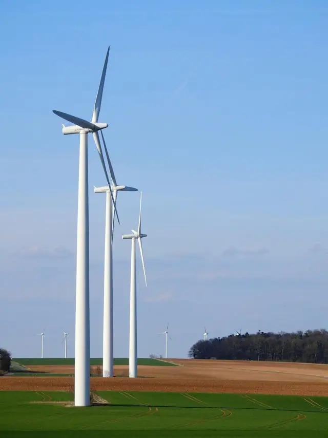 Wind turbines in a field